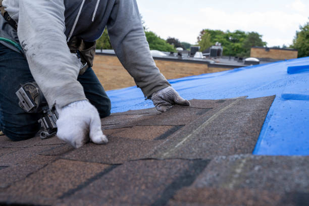 Best Residential Roofing Contractor  in Rio Grande, OH